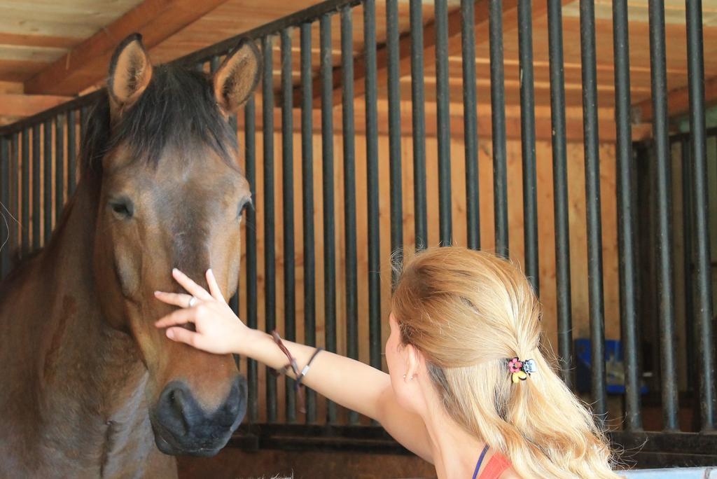 Rozajny Wielkie Stajnia Sarnowek Nad Jeziorem Rozany المظهر الخارجي الصورة